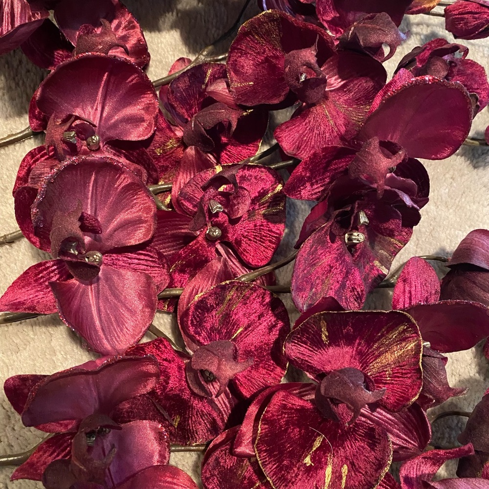 Six branches of velvet orchids with silver touch